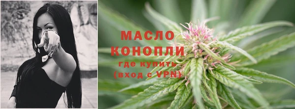 дживик Гусев