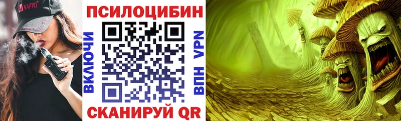 Галлюциногенные грибы прущие грибы  закладки  darknet клад  Новосокольники 